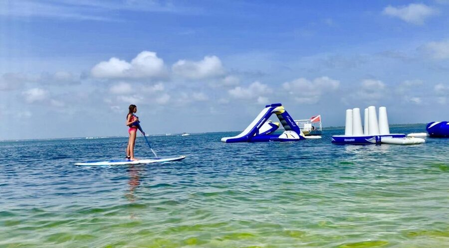 Shell Island: Adventure Tour on the Privateer Catamaran - Guided sightseeing and dolphin watching on the Gulf (about 1 hour)