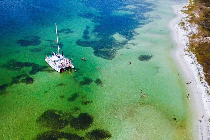 Shell Island Snorkel and Dolphin Catamaran Cruise with Island Time - Key highlights at a glance