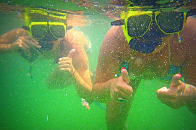 Shell Island Snorkel and Dolphin Catamaran Cruise with Island Time - Price and value: what $57.59 buys you