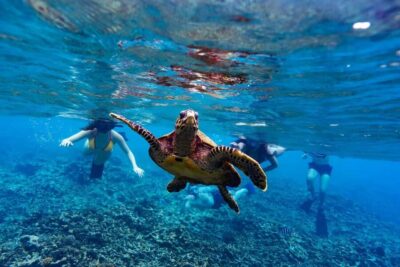 Sister, Coco, and Felicite Island: Seychelles Catamaran Tour - Sister Island lagoons: clear water, turtle chances, and beach time