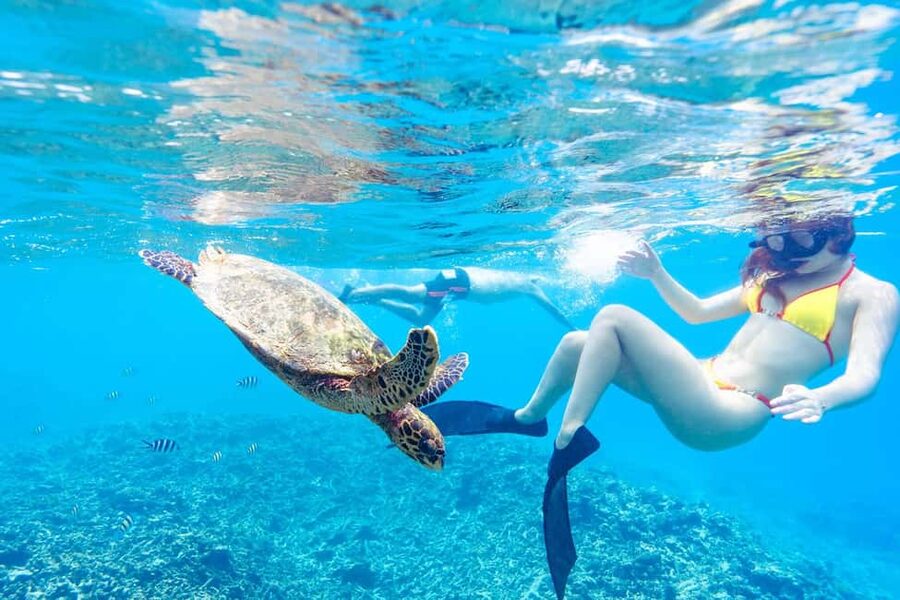 Sister, Coco, and Felicite Island: Seychelles Catamaran Tour - The BBQ lunch: included, satisfying, and actually timed well