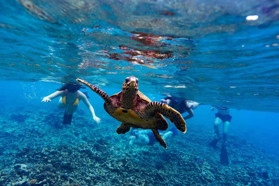 Sister, Coco, and Felicite Island: Seychelles Catamaran Tour - Sister Island lagoons: clear water, turtle chances, and beach time