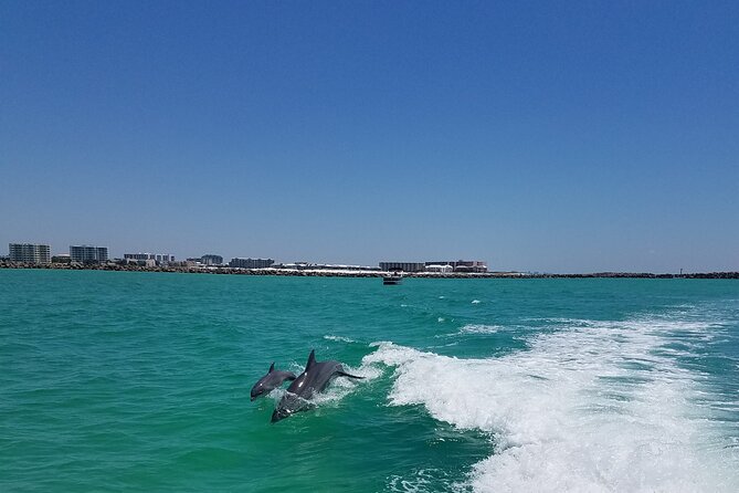 Sky High Parasailing From Marina Cafe - Destin Florida - Destin Beaches vs Choctawhatchee Bay: A Smart Route Decision