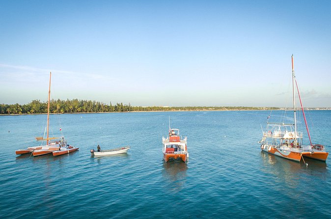 Small-Group Cruising and Snorkeling Catamaran Tour - Stand-up paddle board time: extra play for the active types