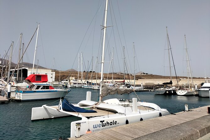 Small Group Dolphin Sunset Tour on Electric Catamaran Lanzarote - The Crew Makes or Breaks It: Gonzalo and Silvia’s Style of Wildlife Respect