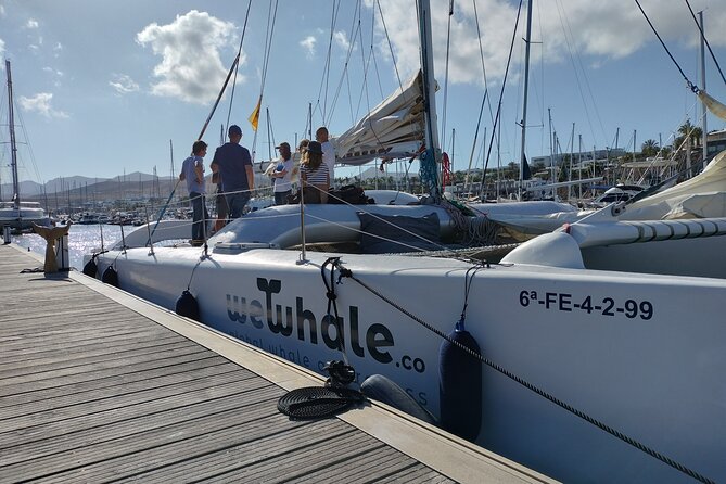 Small Group Dolphin Sunset Tour on Electric Catamaran Lanzarote - Timing, Booking, and Getting the Most Out of a Sunset Sail