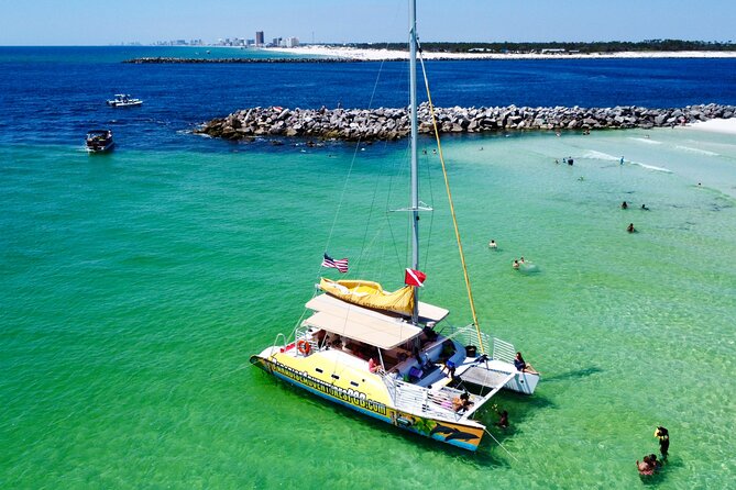 Snorkel & Dolphin Sightseeing Tour Aboard the Footloose - Dolphin spotting on the Gulf: what to expect when the water decides
