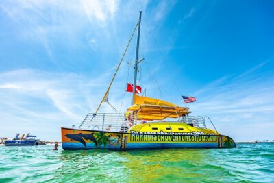Snorkel & Dolphin Sightseeing Tour Aboard the Footloose - Shell Island snorkeling and shell hunting in real Gulf daylight