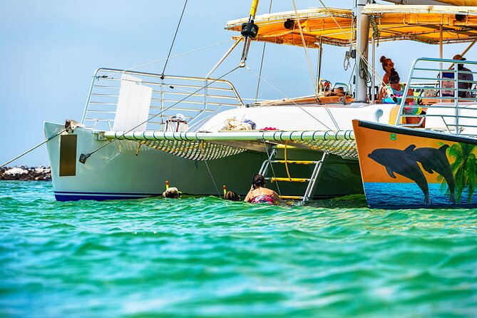 Snorkel & Dolphin Sightseeing Tour Aboard the Footloose - Getting there: meeting point, dock walk, and day-of practical tips