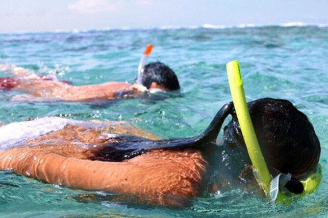 Snorkel & Dolphin Sightseeing Tour Aboard the Footloose - Should you book the Footloose Dolphin & Shell Island tour?