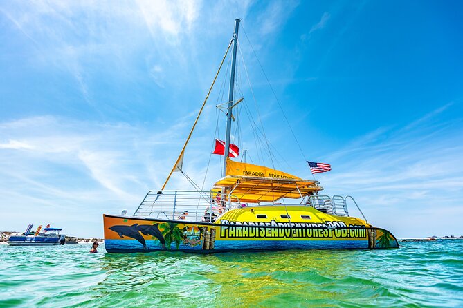Snorkel & Dolphin Sightseeing Tour Aboard the Footloose - Shell Island snorkeling and shell hunting in real Gulf daylight