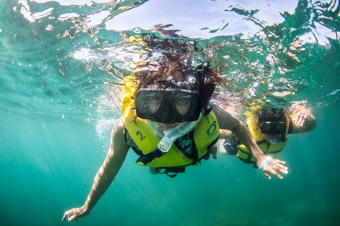 Snorkel, Lunch & Sail in Cabo San Lucas - Price and Value: Is $115 Worth It?