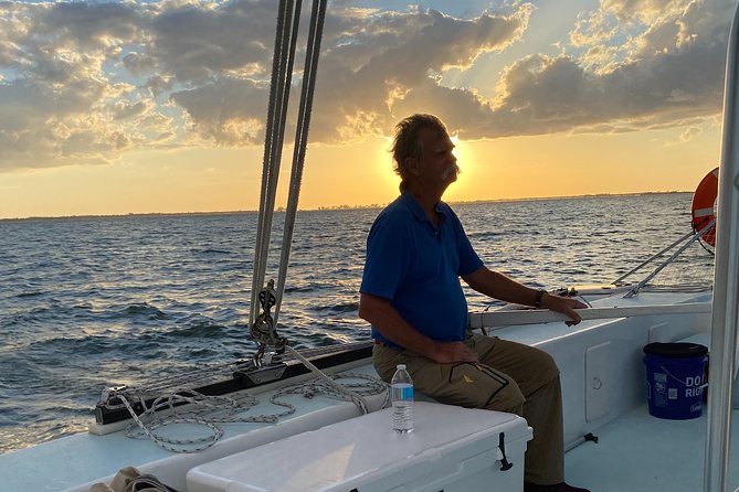 Southwest Florida Sunset Sail - Wildlife Chances: Dolphins, Sea Turtles, and How Much to Expect