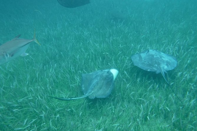 St John & Surrounding Cays - Full-Day Sail/Snorkel, 6 Guests Max - How to make the most of your day (without overpacking)