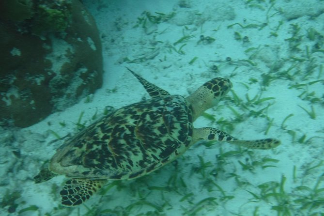 St John & Surrounding Cays - Full-Day Sail/Snorkel, 6 Guests Max - Who should book this (and who should think twice)
