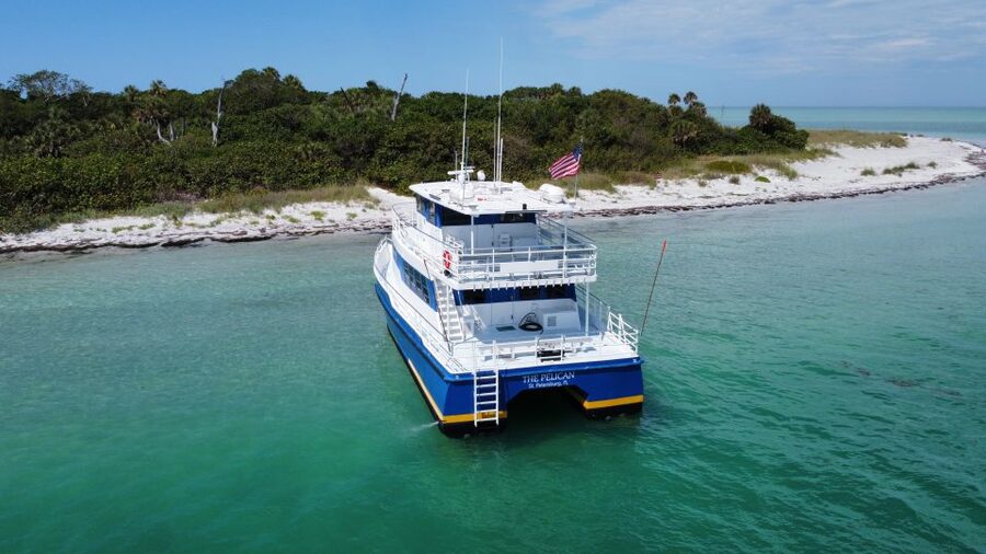 St. Petersburg, FL: 4-Hour Catamaran Cruise to Egmont Key - The Catamaran Ride: Comfort, Bathrooms, and Wildlife Scanning