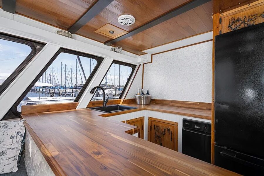 St. Petersburg, FL: 4-Hour Catamaran Cruise to Egmont Key - Snorkeling in Clear Water: Gear Included, Fish Included (Maybe More)
