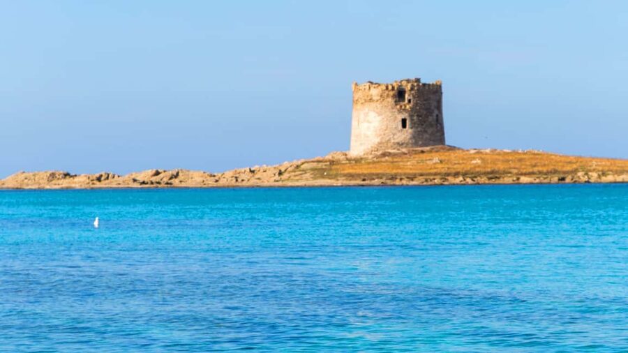 Stintino: Half-day catamaran tour to La Pelosa with aperitif - Fornelli Natural Pools: where you go for clear water and easy time in the sea