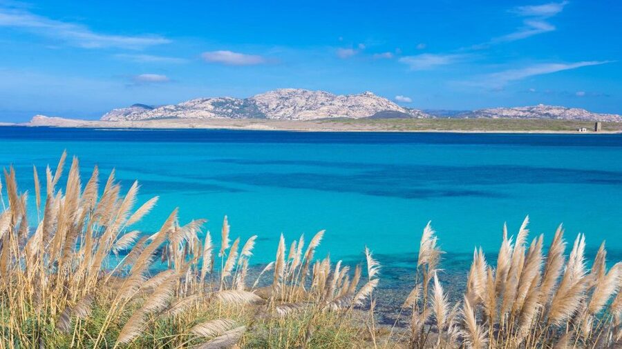 Stintino: Half-day catamaran tour to La Pelosa with aperitif - Price and value: is $98 per person fair for this half-day?