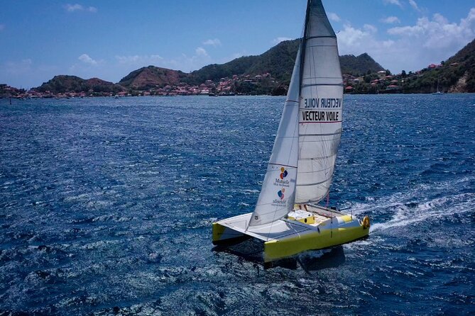 Stroll and Initiation to Sailing in the Baie des Saintes - Key Points You’ll Care About