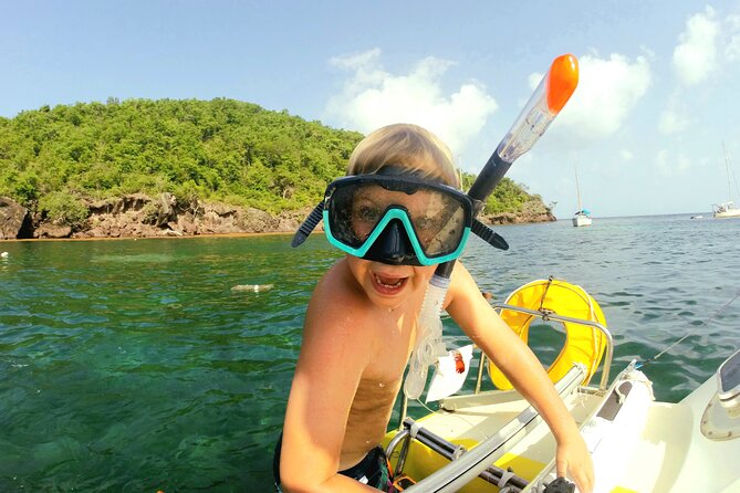 Stroll and Initiation to Sailing in the Baie des Saintes - What You’ll Actually See: Pelicans, Fish, and Bay Views