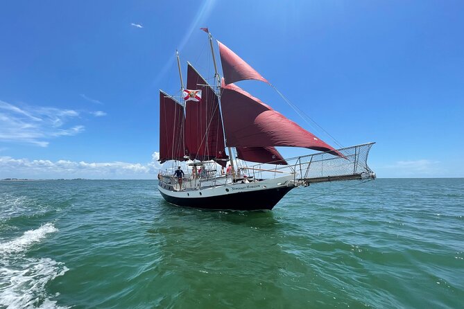 Suncoast Sailing's Day Sailing Experience! - What you’ll actually see: dolphins, islands, and John’s Pass