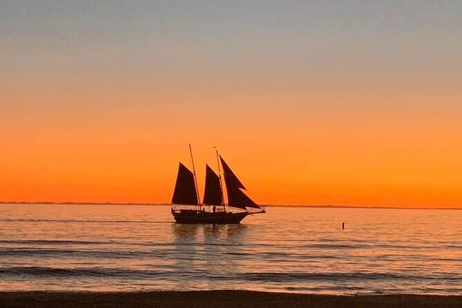 Suncoast Sailing's Sunset Sailing Experience! - When the Water Gets Rough: Seasickness Options That Actually Help
