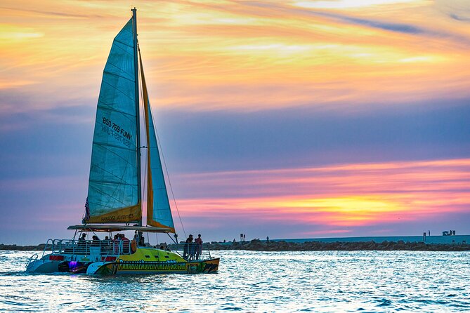 Sunset Dolphin Sail Aboard the Footloose Catamaran - Entering the Rhythm: Why This 1.5-Hour Sunset Sail Works