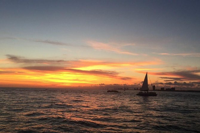 Sunset Dolphin Sail Aboard the Footloose Catamaran - What You’ll Actually Do Out on the Gulf: Dolphin Time