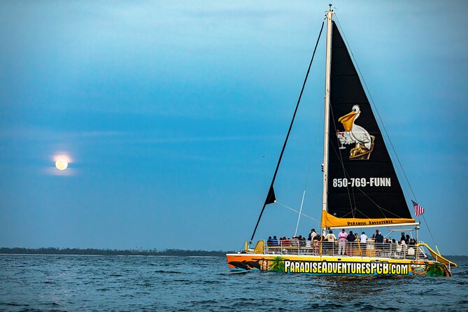 Sunset Dolphin Sail Aboard the Privateer Catamaran - Sunset Dolphin Sail on the SV Privateer: the best kind of pre-dinner plan