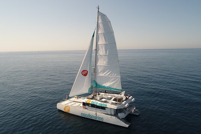 Sunset or night catamaran tour from Malaga - Duration and movement: how much you really get in 1–1.5 hours