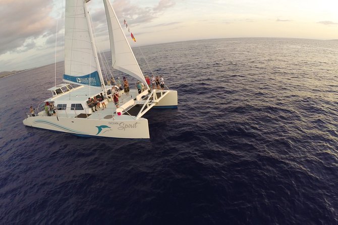 Sunset Sail from Ma'alaea Harbor - Wildlife Chances Off Maui: Dolphins and Humpback Whales