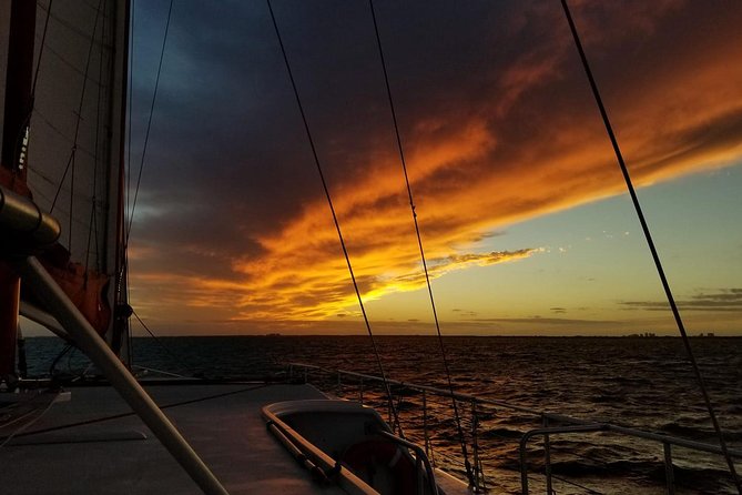 Sunset Sail in Miami: Complimentary Champagne Toast - Key highlights to know before you go
