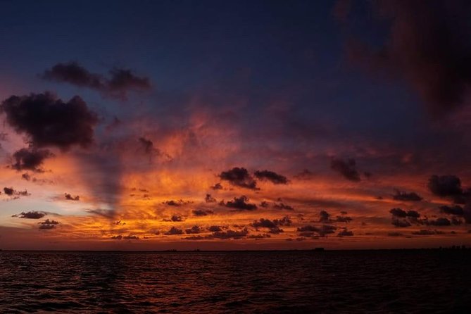 Sunset Sail in Miami: Complimentary Champagne Toast - Champagne toast included, cash bar for everything else