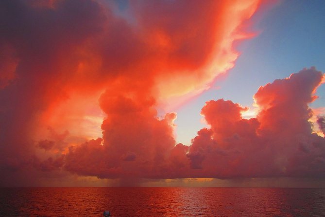 Sunset Sail in Miami: Complimentary Champagne Toast - Who should book this sunset sail