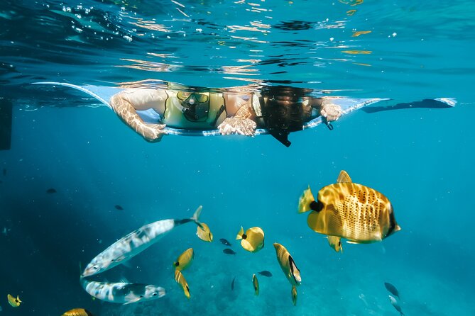 Swim with Dolphins Catamaran with Waterslide & Lunch on Oahu - First Thing Morning: Getting Out of Waiʻanae Small Boat Harbor