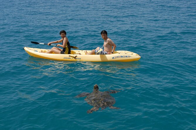 Swim with Dolphins Catamaran with Waterslide & Lunch on Oahu - 21-Foot Waterslide and On-Water Extras at Makaha