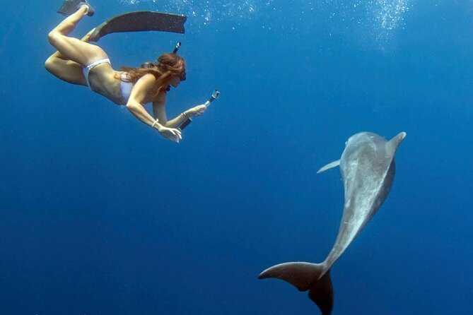 Swim with Dolphins Catamaran with Waterslide & Lunch on Oahu - How Fast the Dolphin Swim Really Is (and Who Should Skip It)