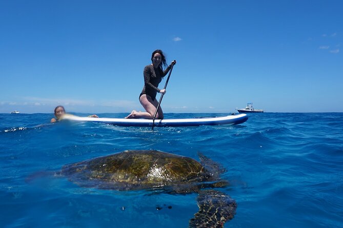 Swim with Dolphins Catamaran with Waterslide & Lunch on Oahu - Value for $199: What You’re Getting for a Half-Day