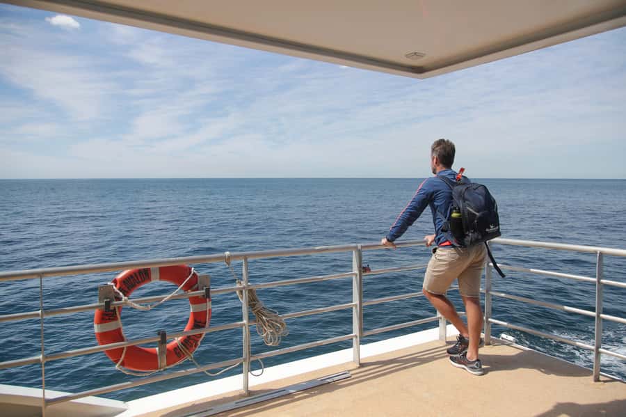 Sydney: Discovery Whale Watching Tour by Catamaran - Comfort and Views: Where to Stand When Everyone Wants the Same Spot