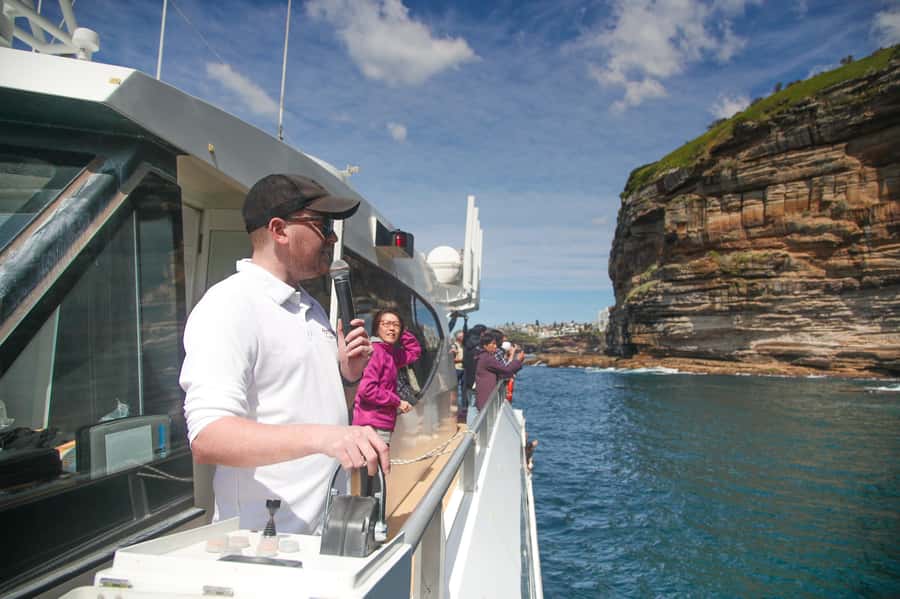 Sydney: Discovery Whale Watching Tour by Catamaran - Price and Value: Is $63 Worth It for 150 Minutes?