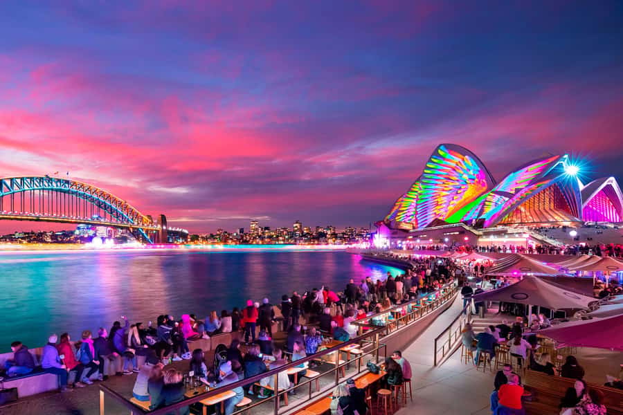 Sydney: Premium Catamaran Vivid Cruise with Welcome Drink - Why this 90-minute Vivid Sydney cruise feels practical