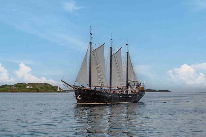 Tall Ship Silva Sailing Cruise Ft. a Live Musician - A Tall Ship Cruise That Feels Like Ship Life (Not Just a Ride)