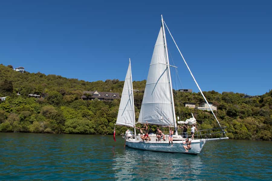 Taupō: Sail Barbary Eco Sailing to the Maori Rock Carvings - Mine Bay Māori Rock Carvings: why this stop deserves your attention