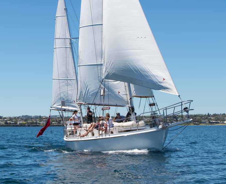 Taupō: Sail Barbary Eco Sailing to the Maori Rock Carvings - Time to swim: when to bring your towel and mindset