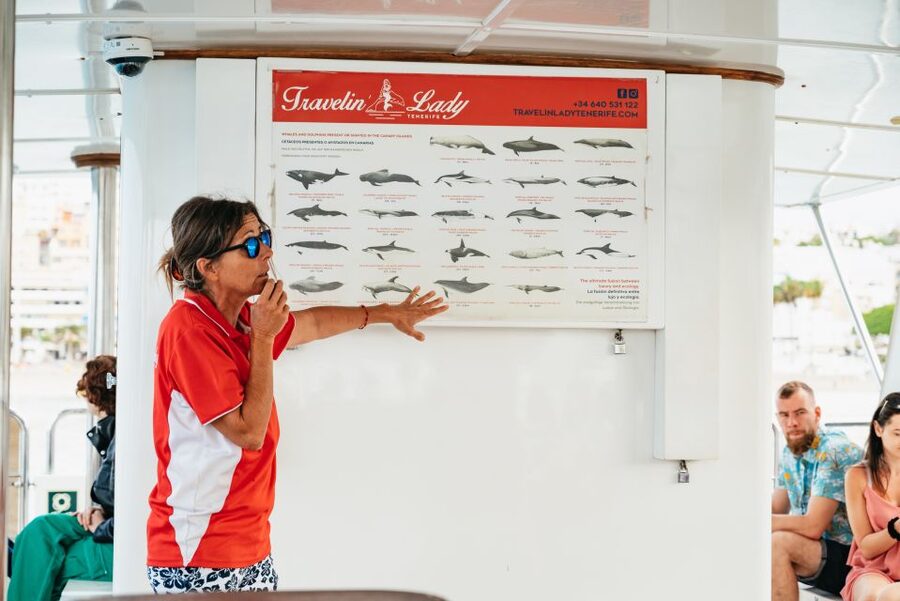 Tenerife: Eco-Yacht Whale and Dolphin Watching and Swimming - Ethical wildlife watching in practice: no chase, respectful distance