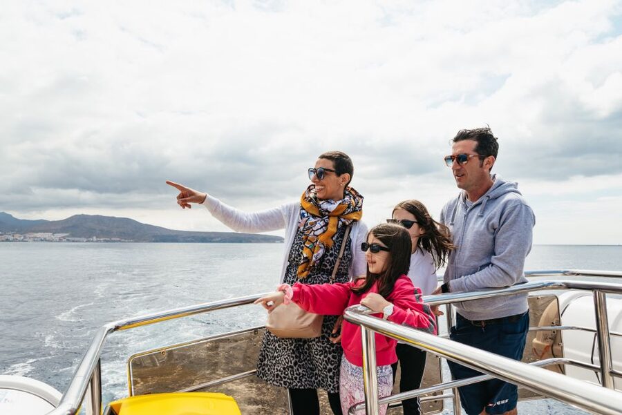Tenerife: Eco-Yacht Whale and Dolphin Watching and Swimming - What you might spot off Los Cristianos (and what to watch for)