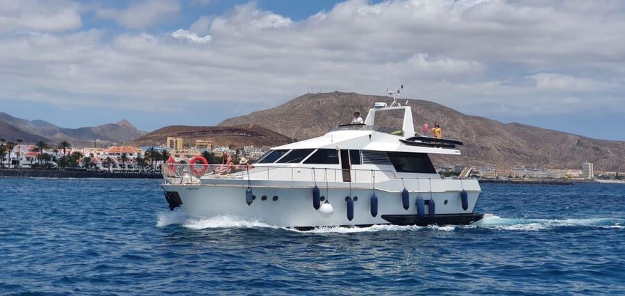Tenerife: Fun Yacht Trip with Water Activities and Toys - Cueva de Palm Mar Coast Views: Pretty Scenery, Real Sea Air