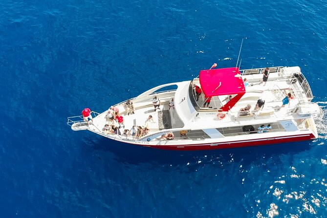 Tenerife Los Cristianos: Whale and Dolphin Eco-Yacht and Swim Stop - Two hours on the water with real whale-and-dolphin energy