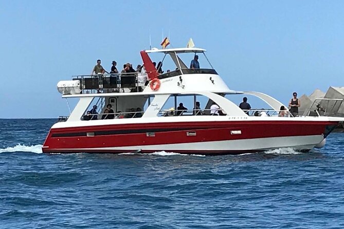 Tenerife Los Cristianos: Whale and Dolphin Eco-Yacht and Swim Stop - Stop by the water: what the Playa de Los Cristianos swim break is really like